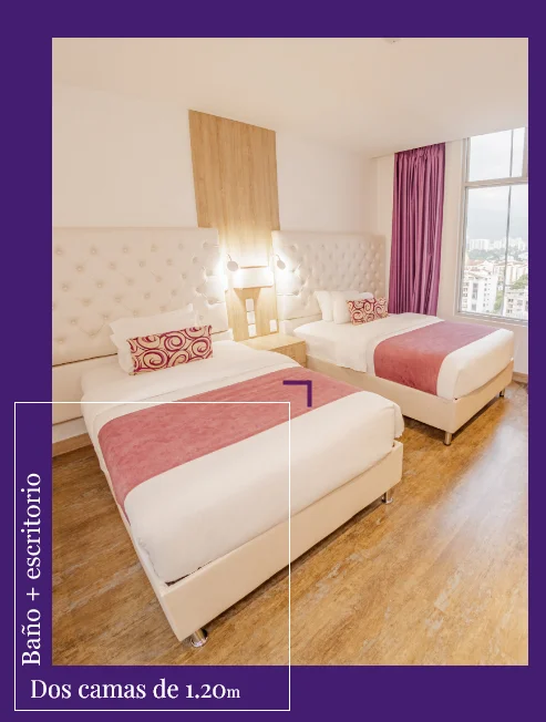 Habitación Twin doble Roseliere